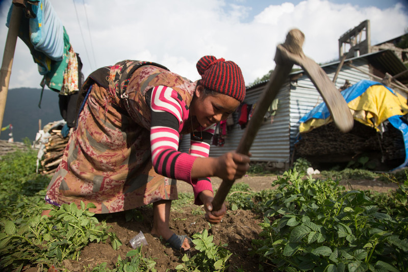 Young woman working in the fields
