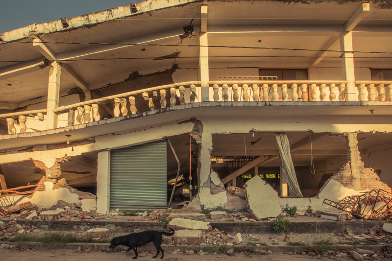 In Asunción Ixtaltepec 80% of homes were left inhabitable. 